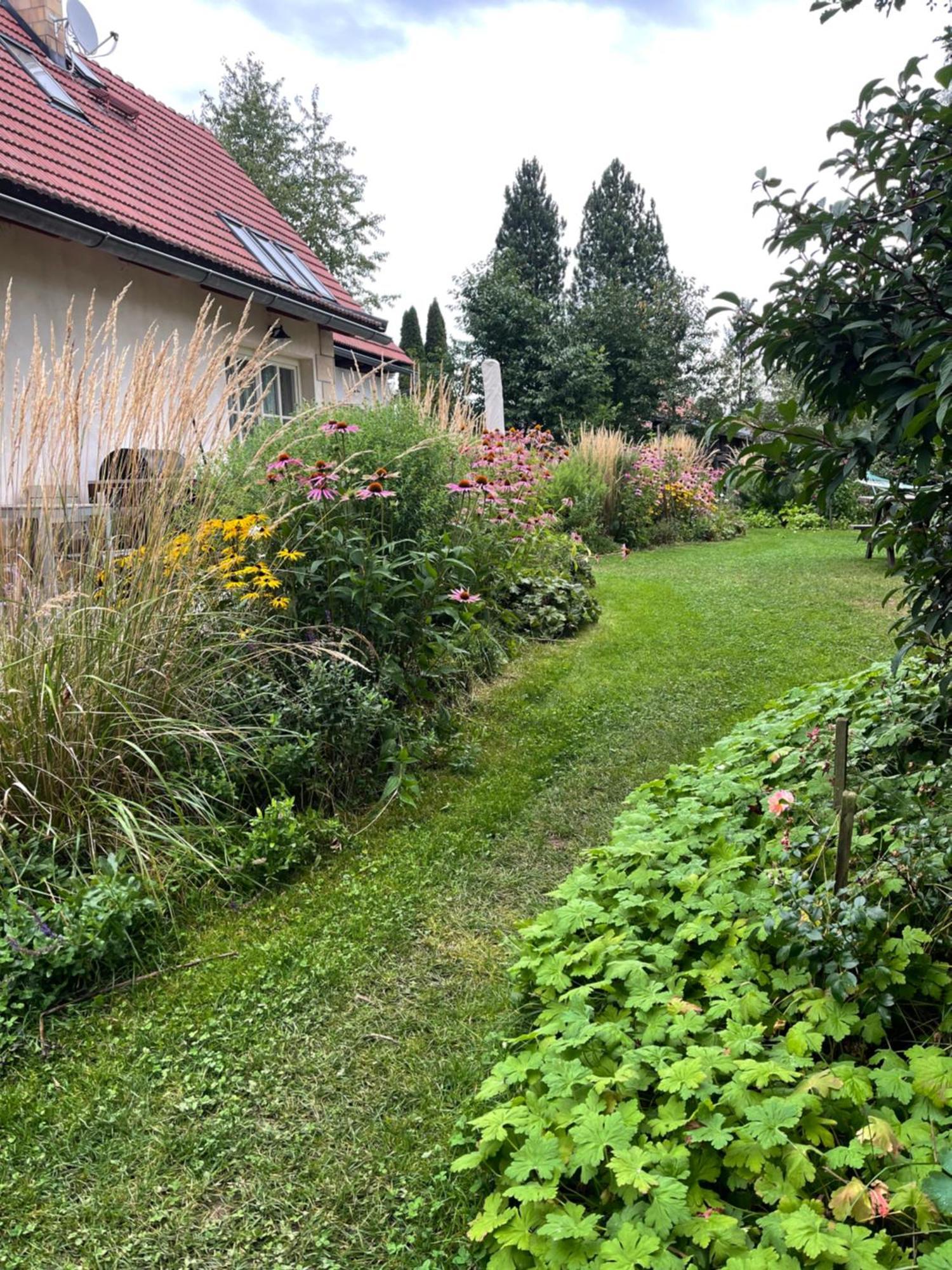 Villa Chalupa U Broumovskych Sten Božanov Exterior foto